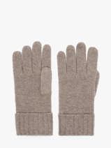 Gloves Cashmere Vercors Etrier Beige vercors EVER429U