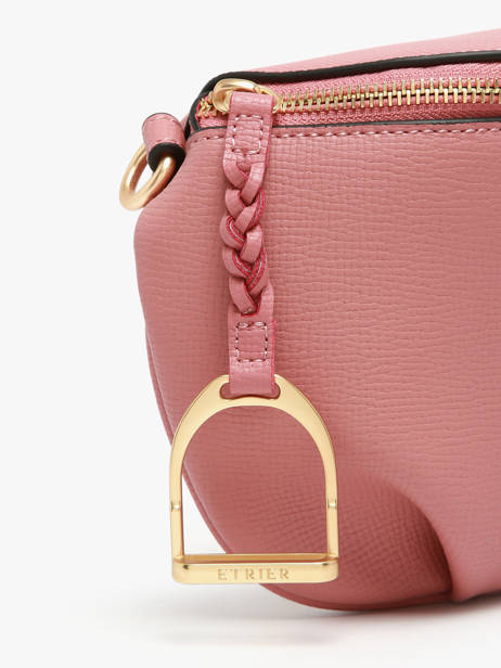 Belt Bag Etrier Pink torsade ETOS022M other view 4